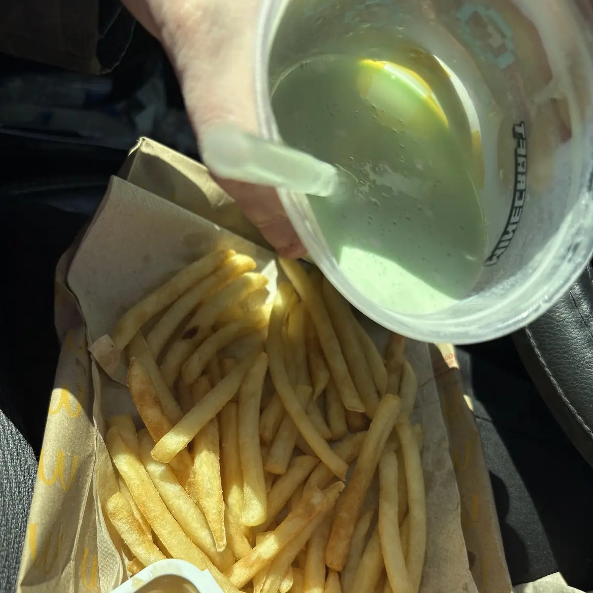World Famous Fries