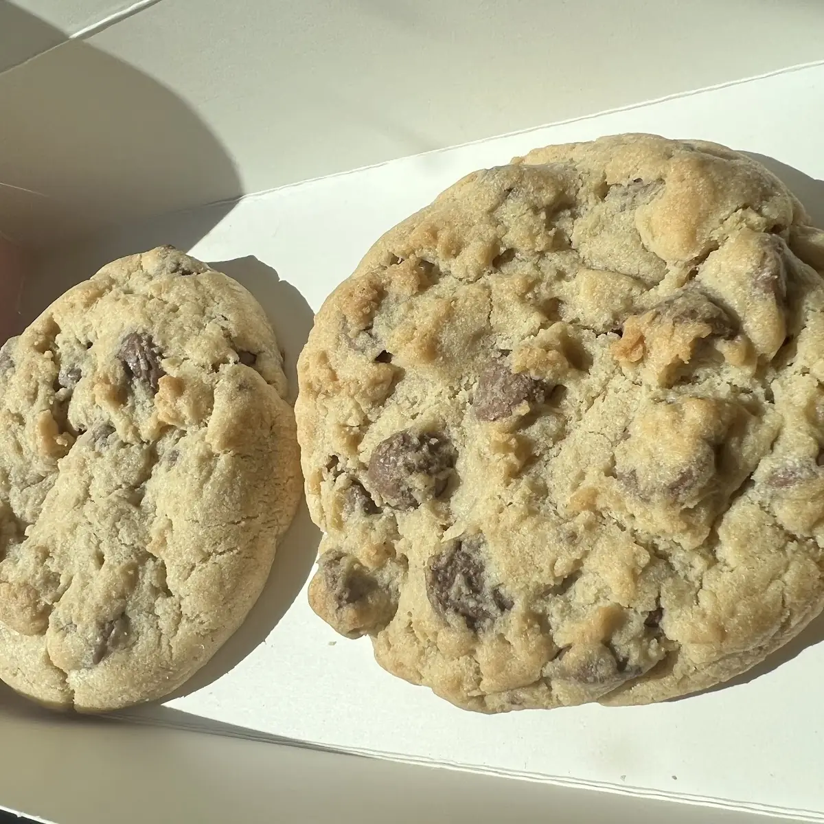 Chocolate Chip Cookie