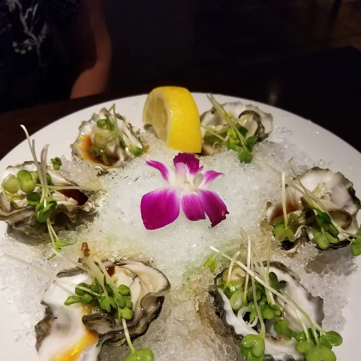 Oysters on the Half Shell