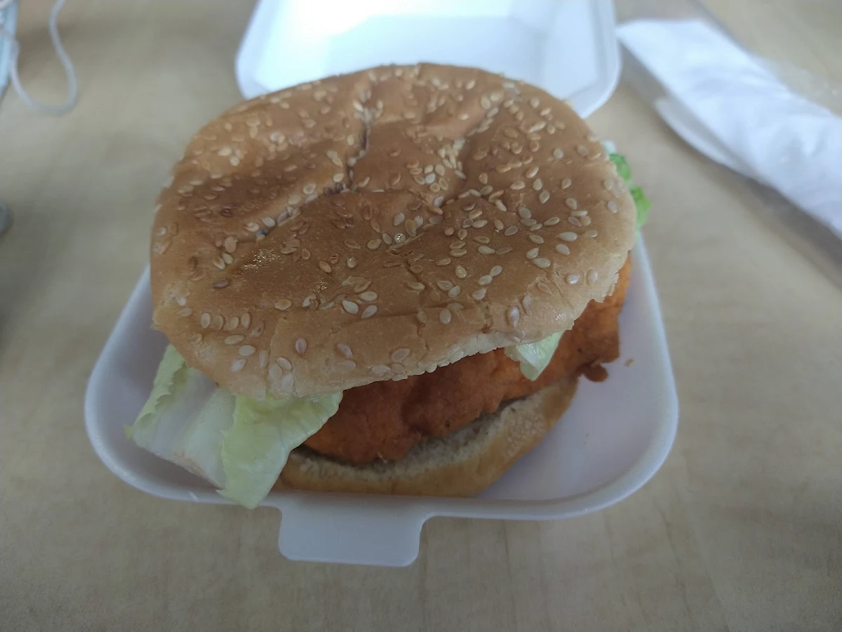 Sandwich Au Poulet Épicé, Fritou Begin Express