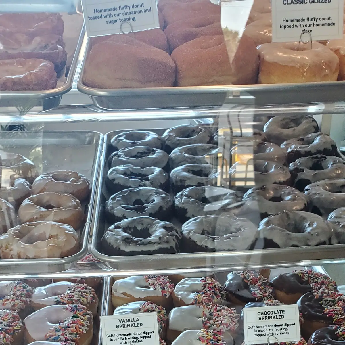 12 Assorted Bagels