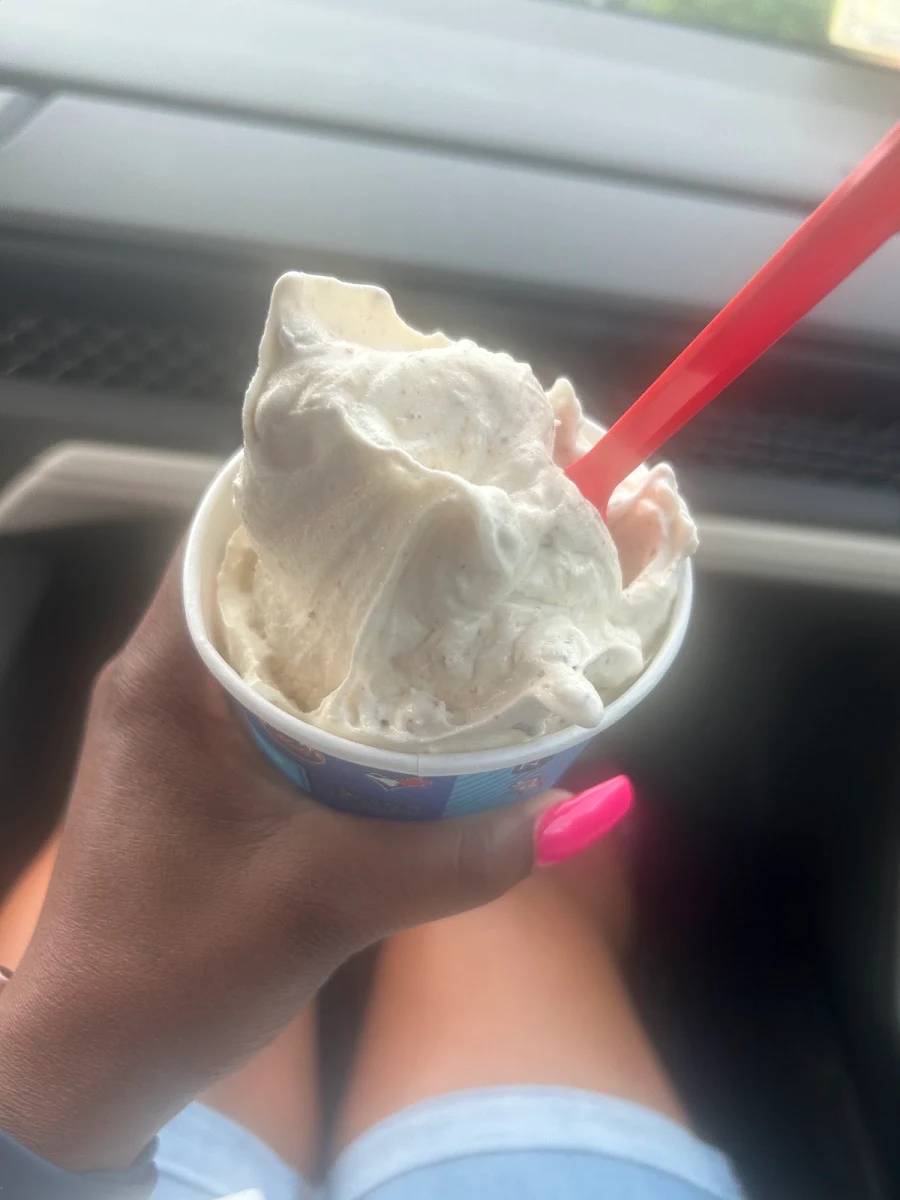 Snickers Blizzard L
