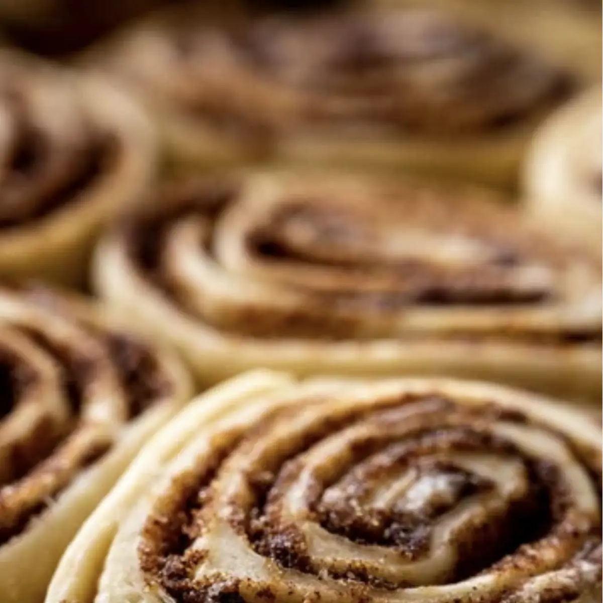 Cinnamon Roll