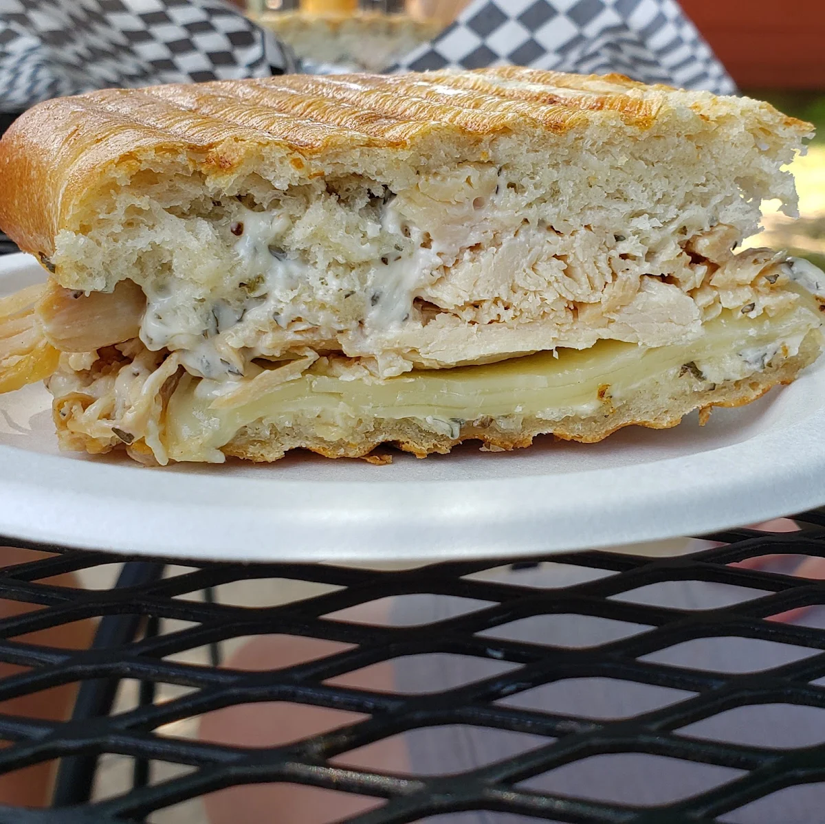 Black Bear Mountain Panini