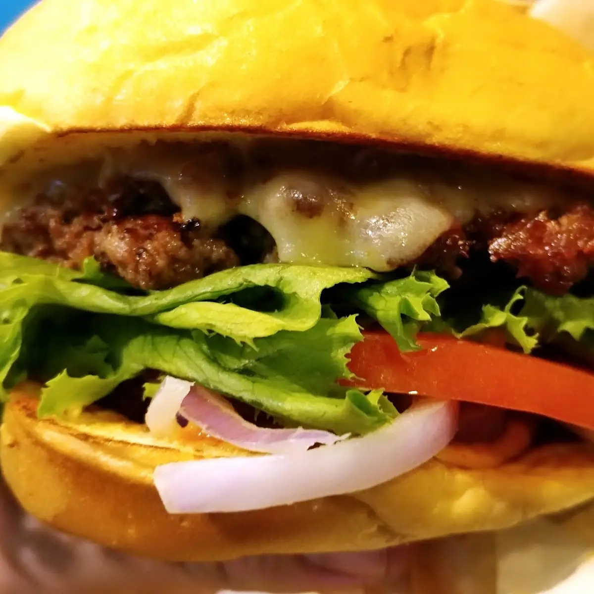 Grass Fed Cheeseburger