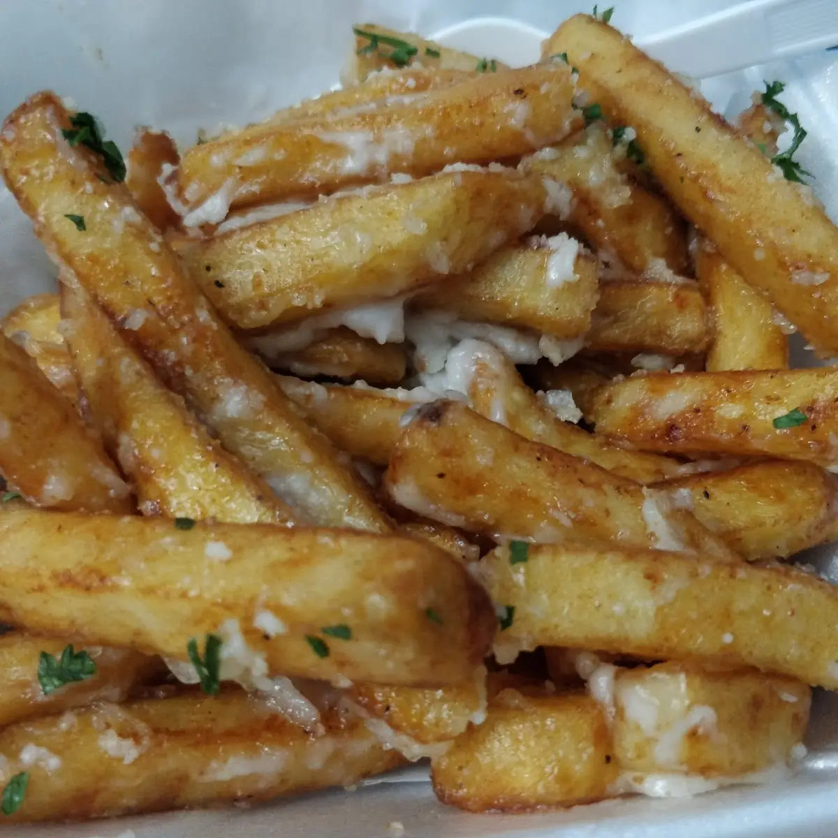 Garlic Parmesan Fries