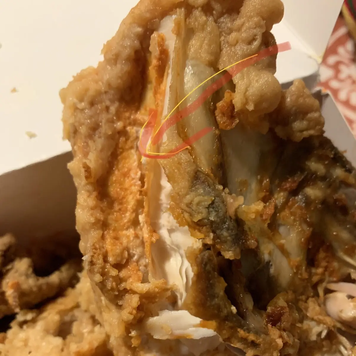 Onion Ring