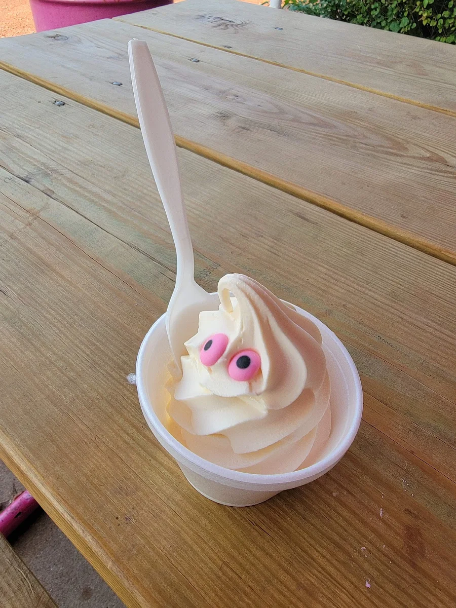 Vanilla Ice Cream