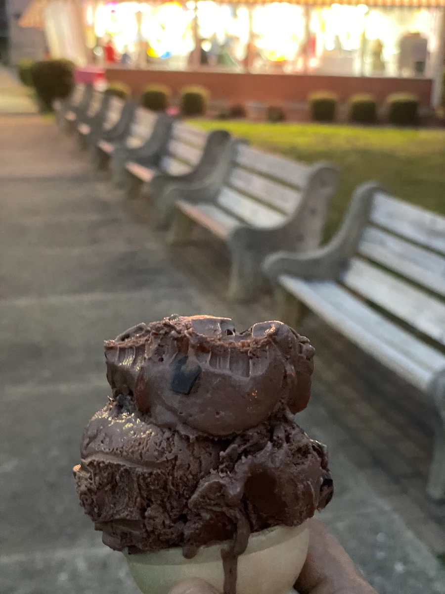 Chocolate Almond Chip