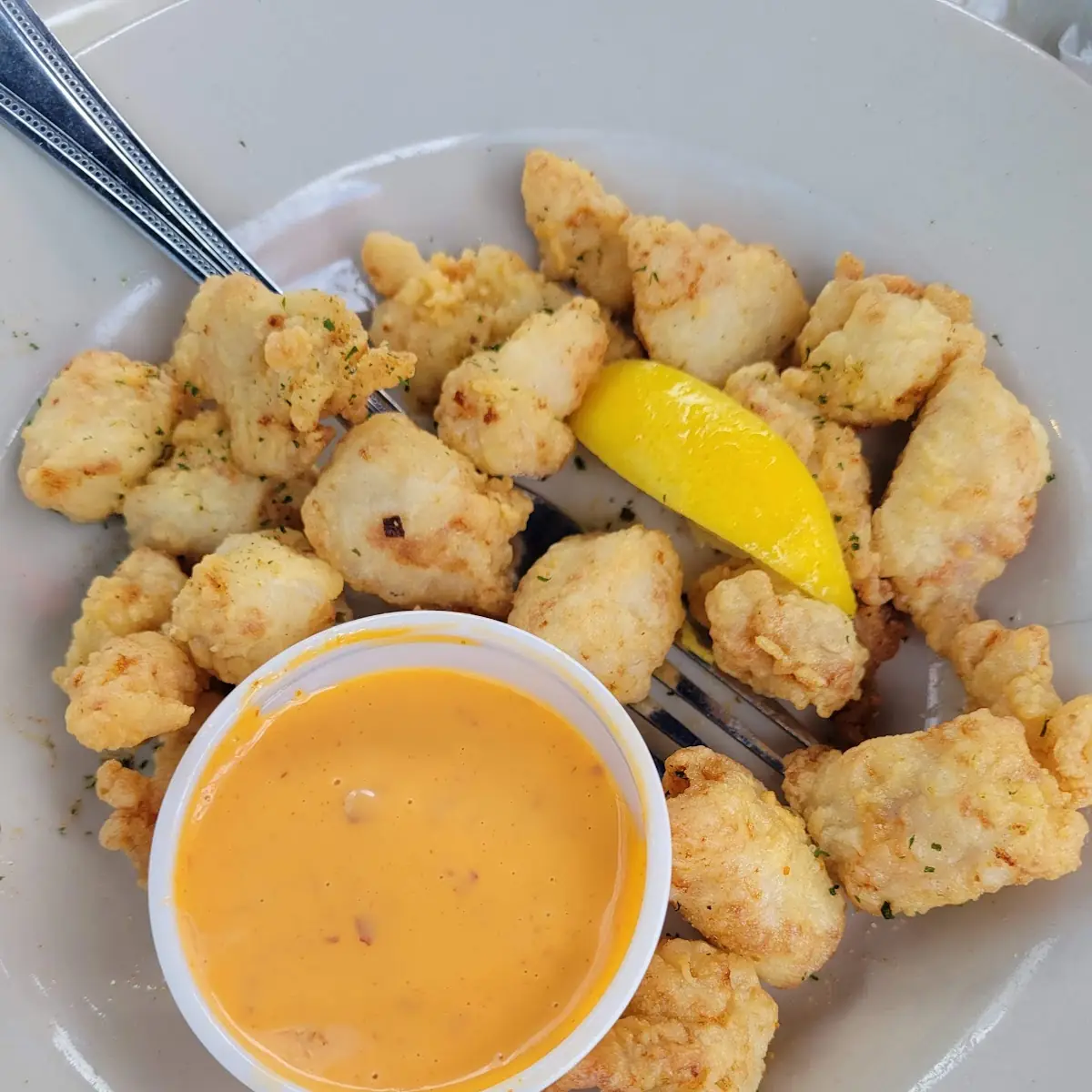 Gator Bites