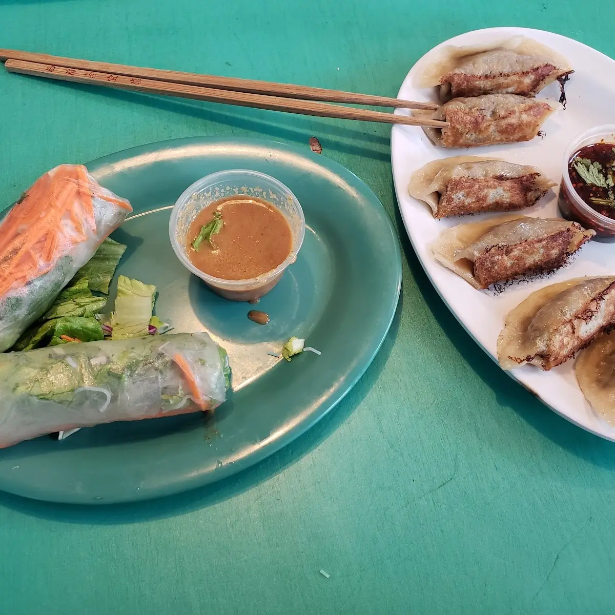 Vegetable Spring Rolls and Dumplings