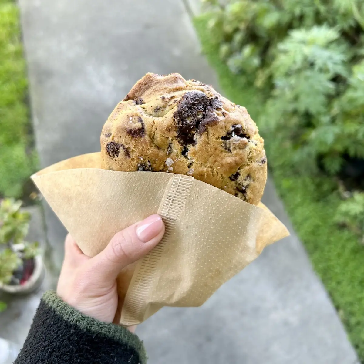 Chocolate Chip Cookie