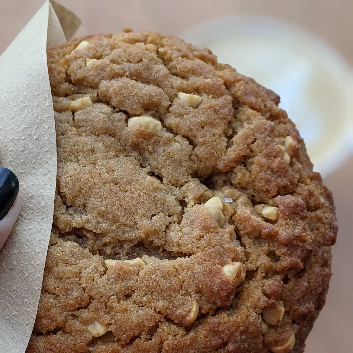 Peanut Butter Cookie