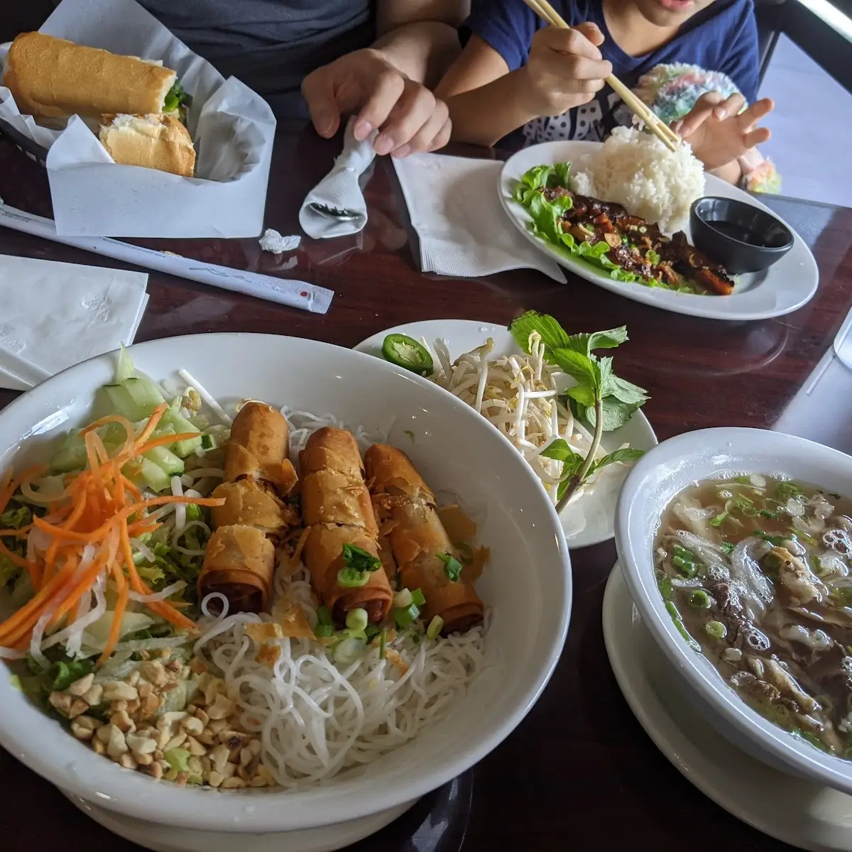 Crispy Egg Rolls Vermicelli and Beef Pho Noodles