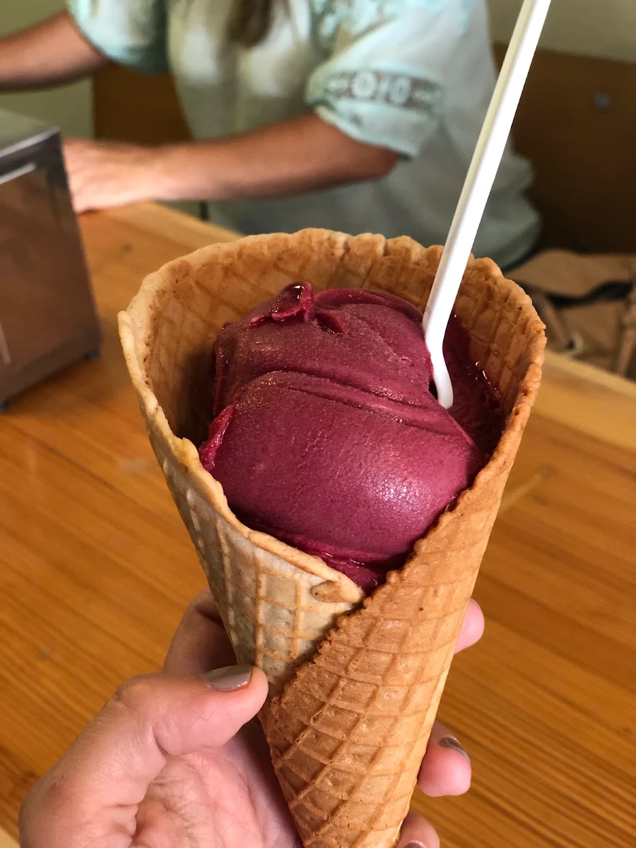 Gelato