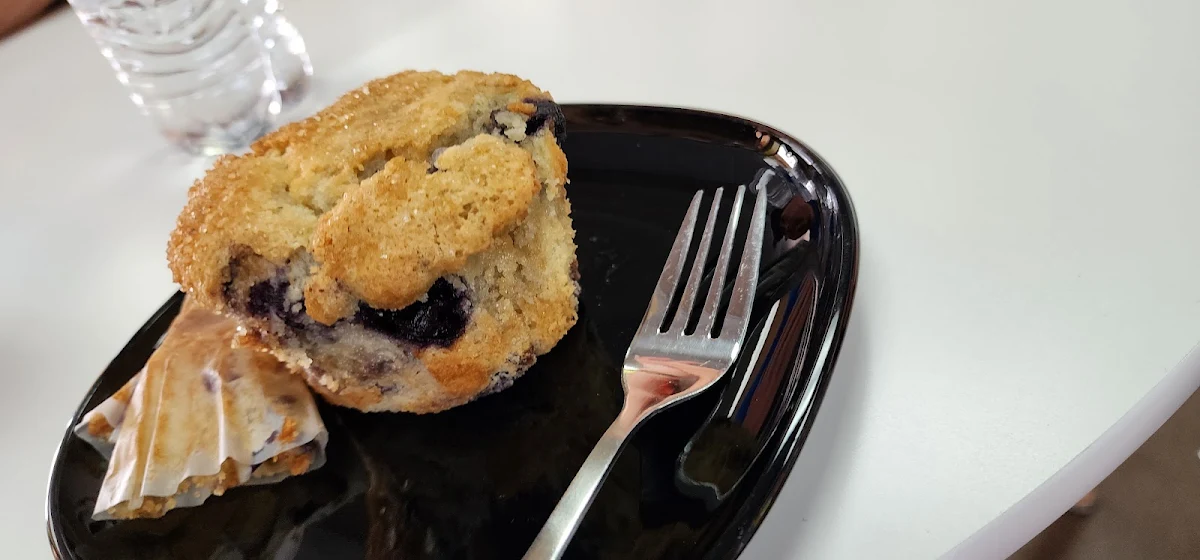 Blueberry Muffin