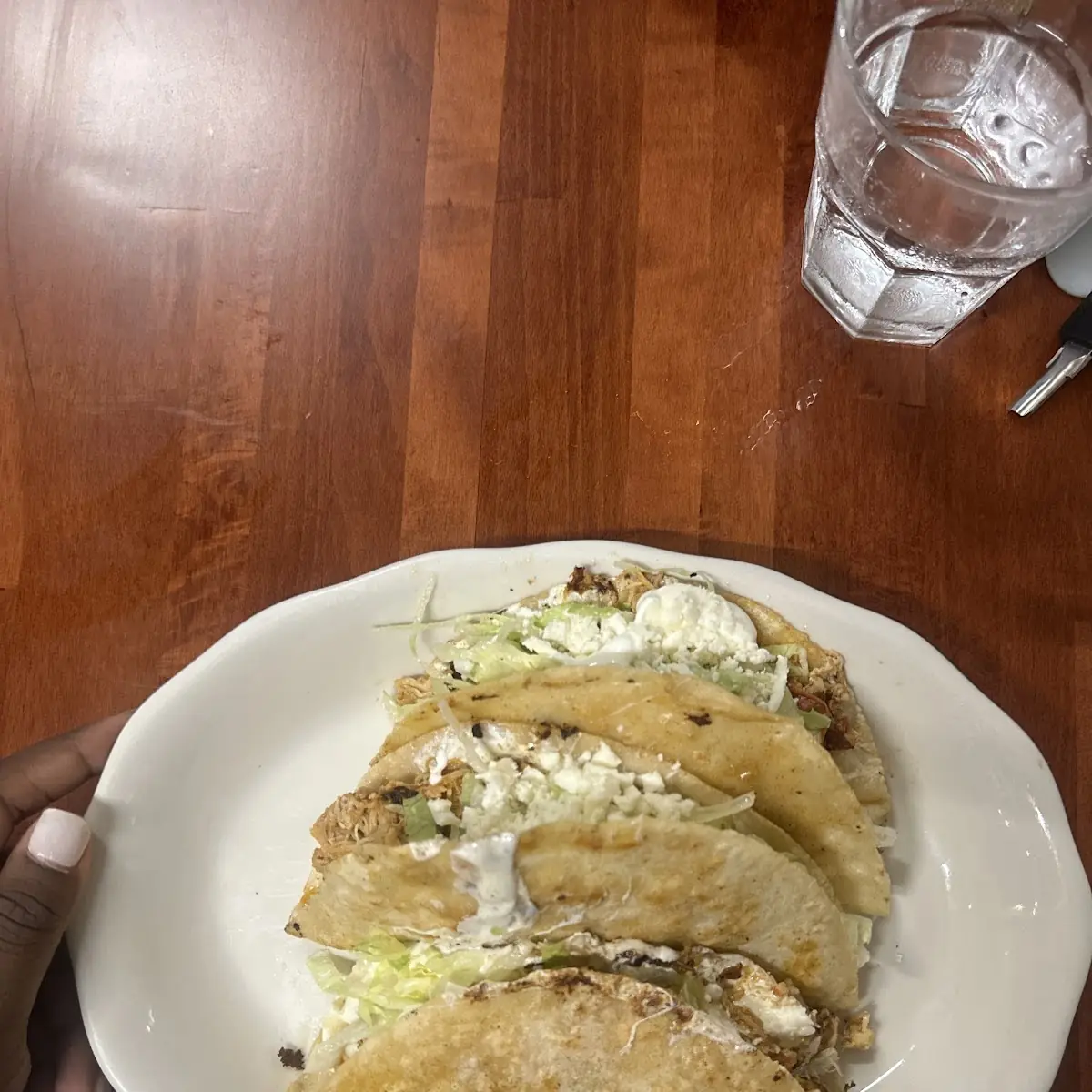 Chicken Quesadilla