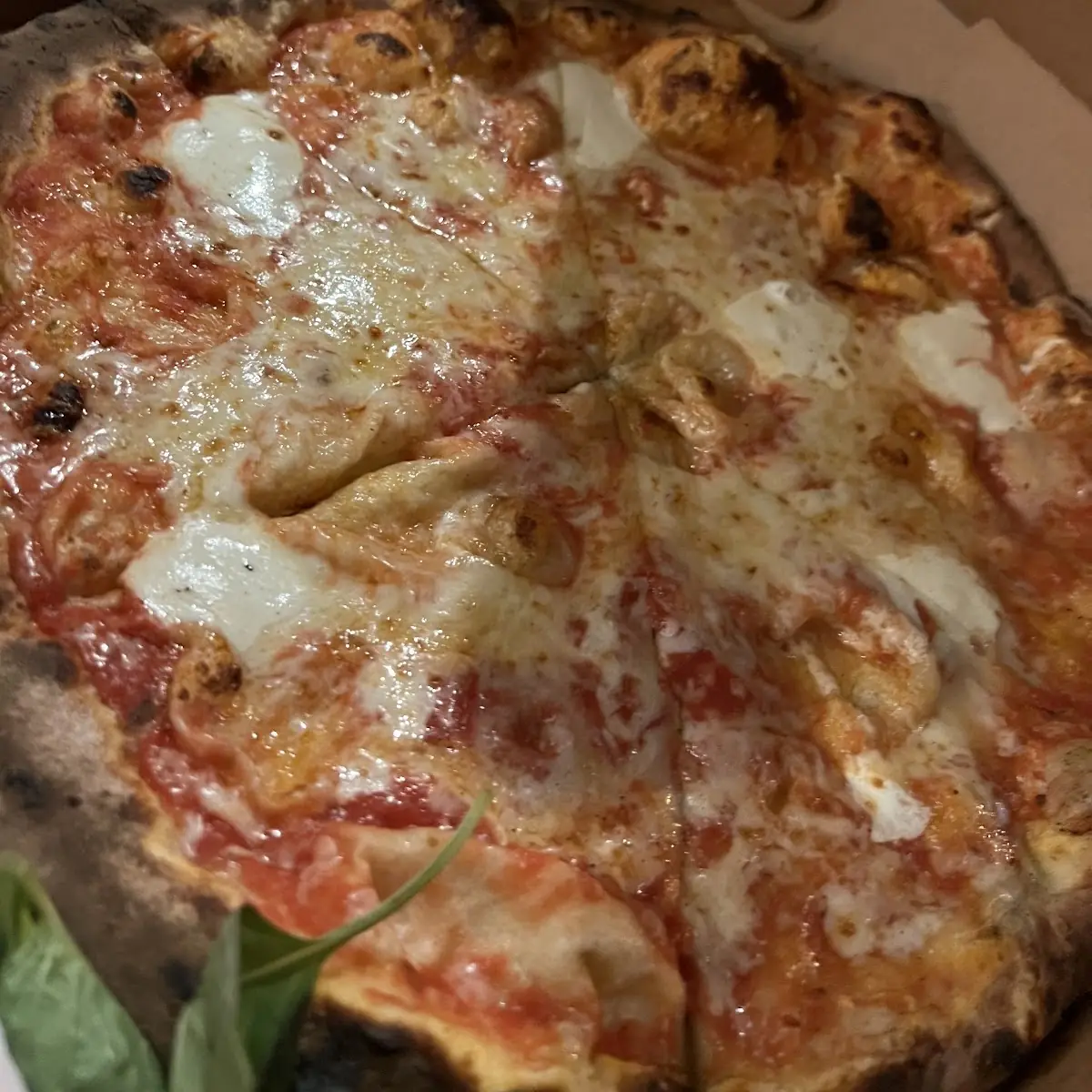 Cheese Pizza