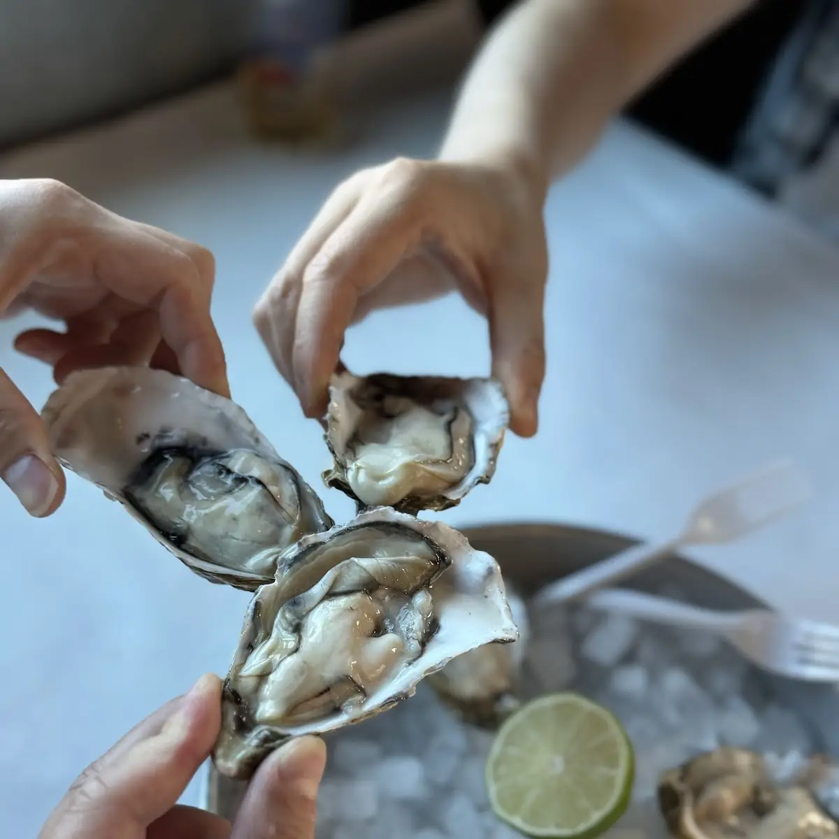 Raw Oysters