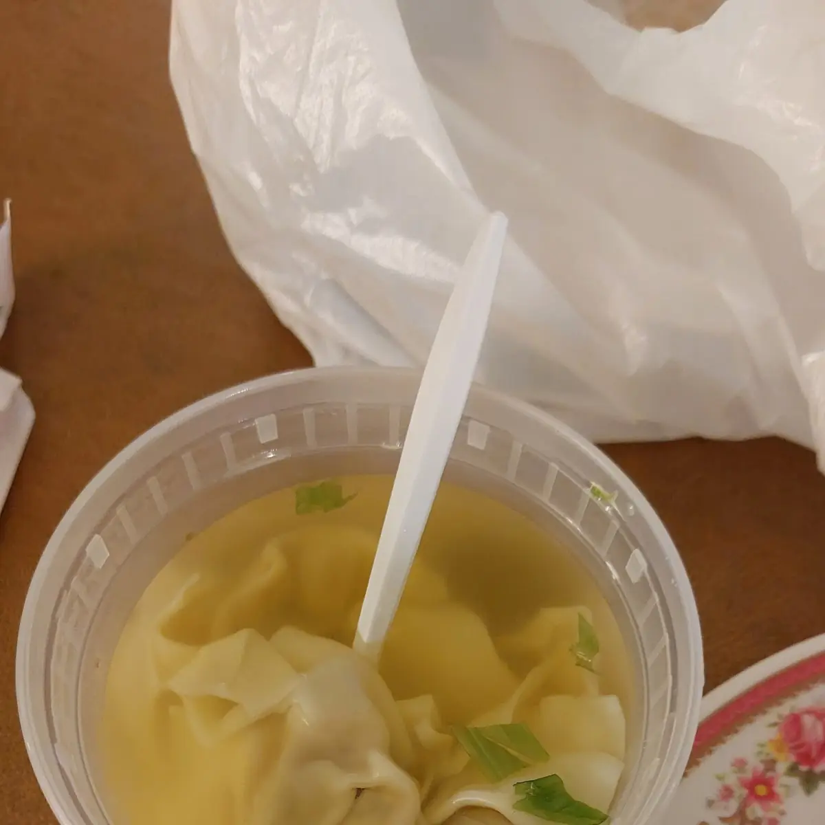 Wonton Soup