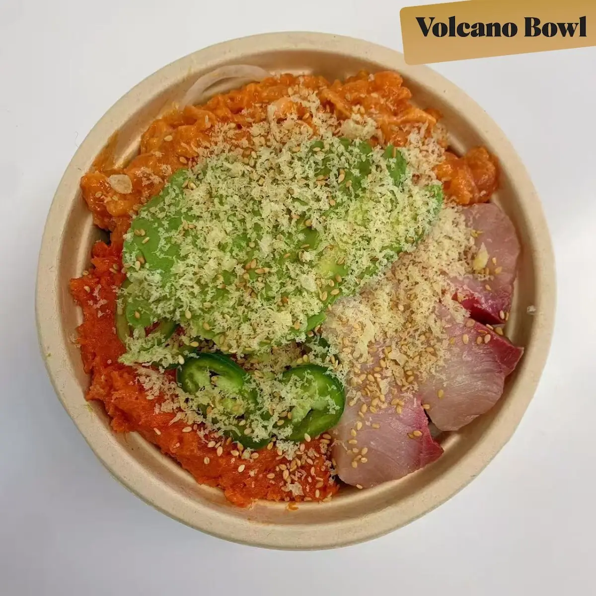 Spicy Tuna Special Bowl