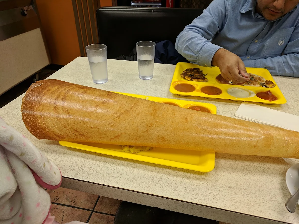 Cone Dosa, Madras Cafe