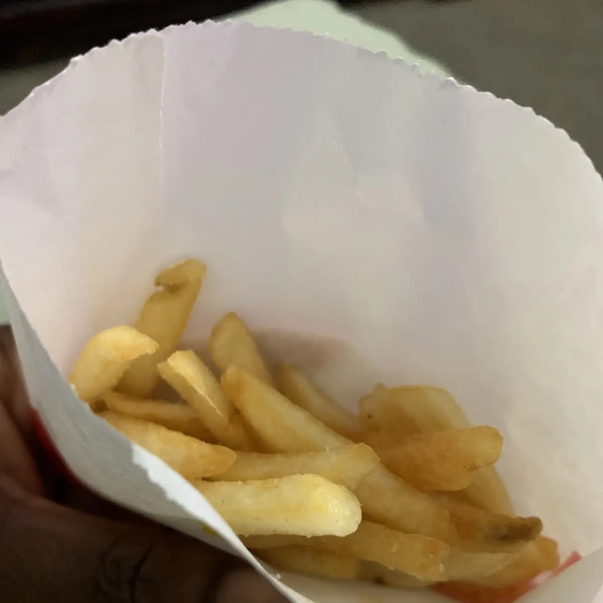 World Famous Fries