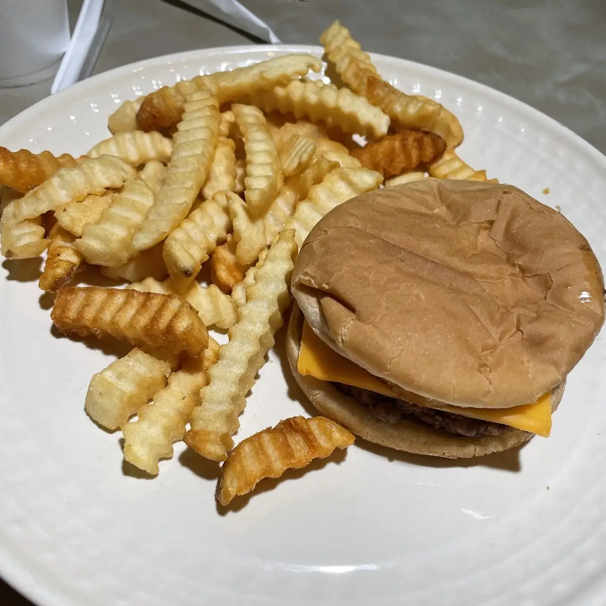 Kids Cheeseburger with Fries
