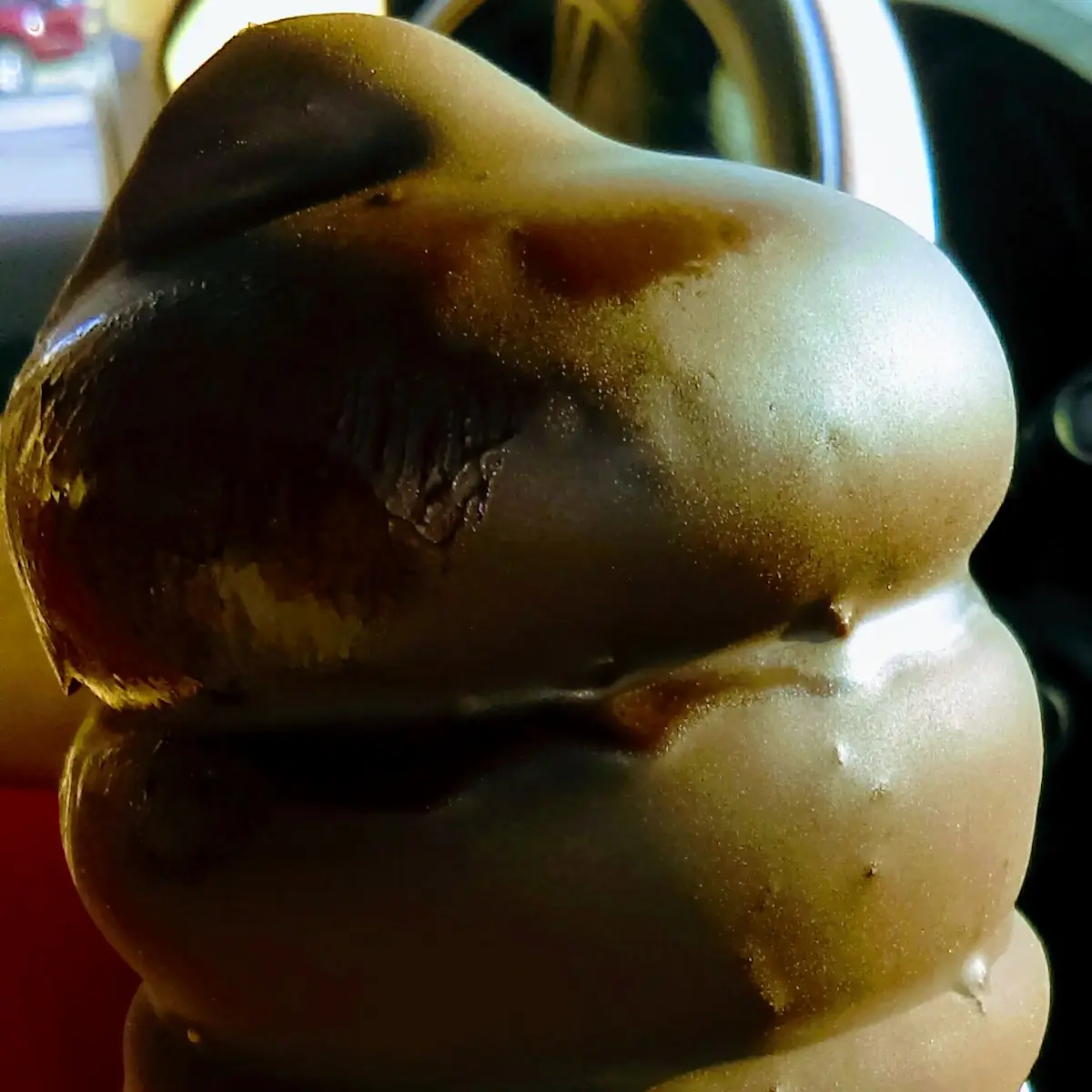 Chocolate Dipped