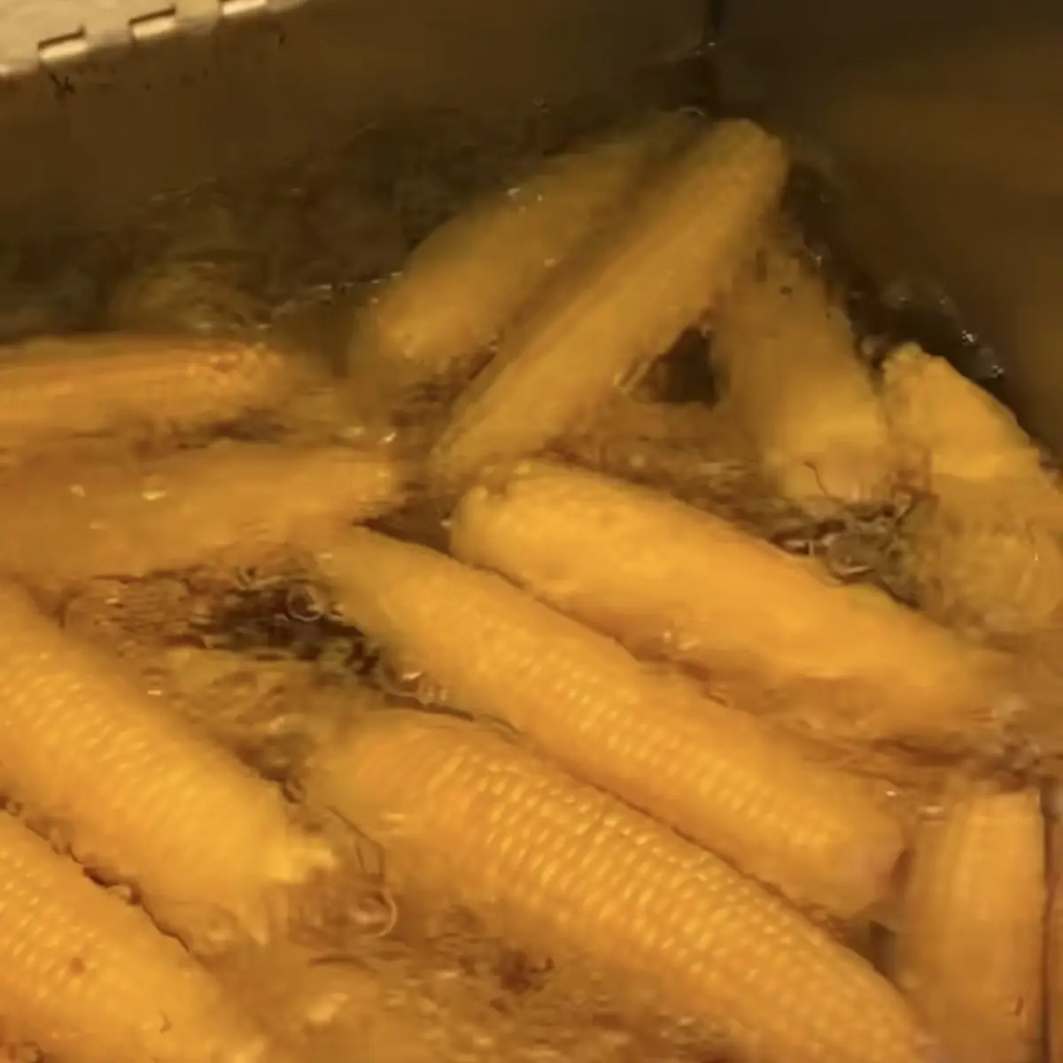 Sweet Corn