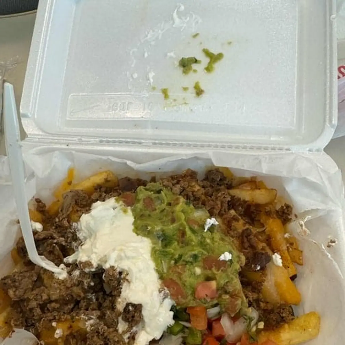 Carne Asada Fries