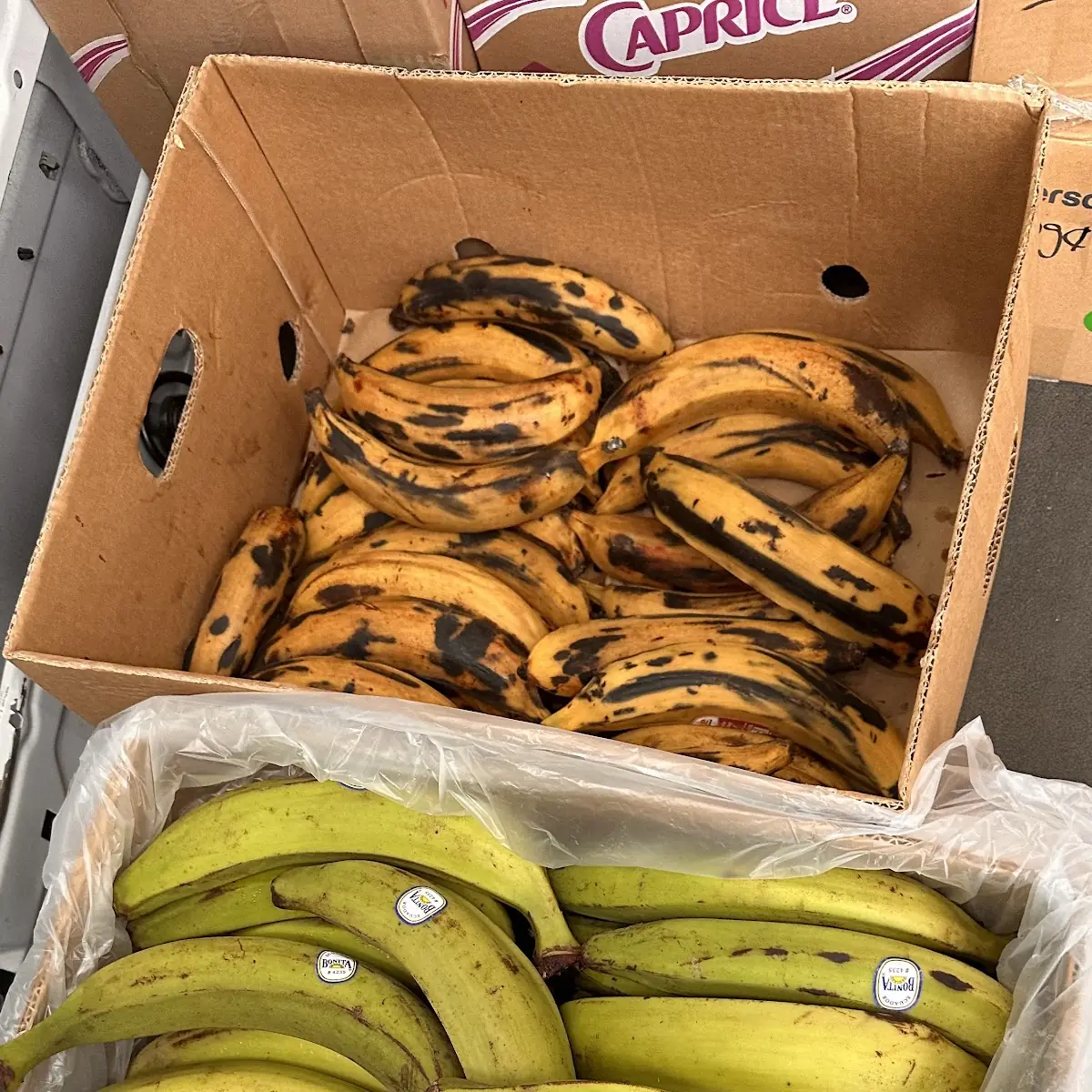 Plantains