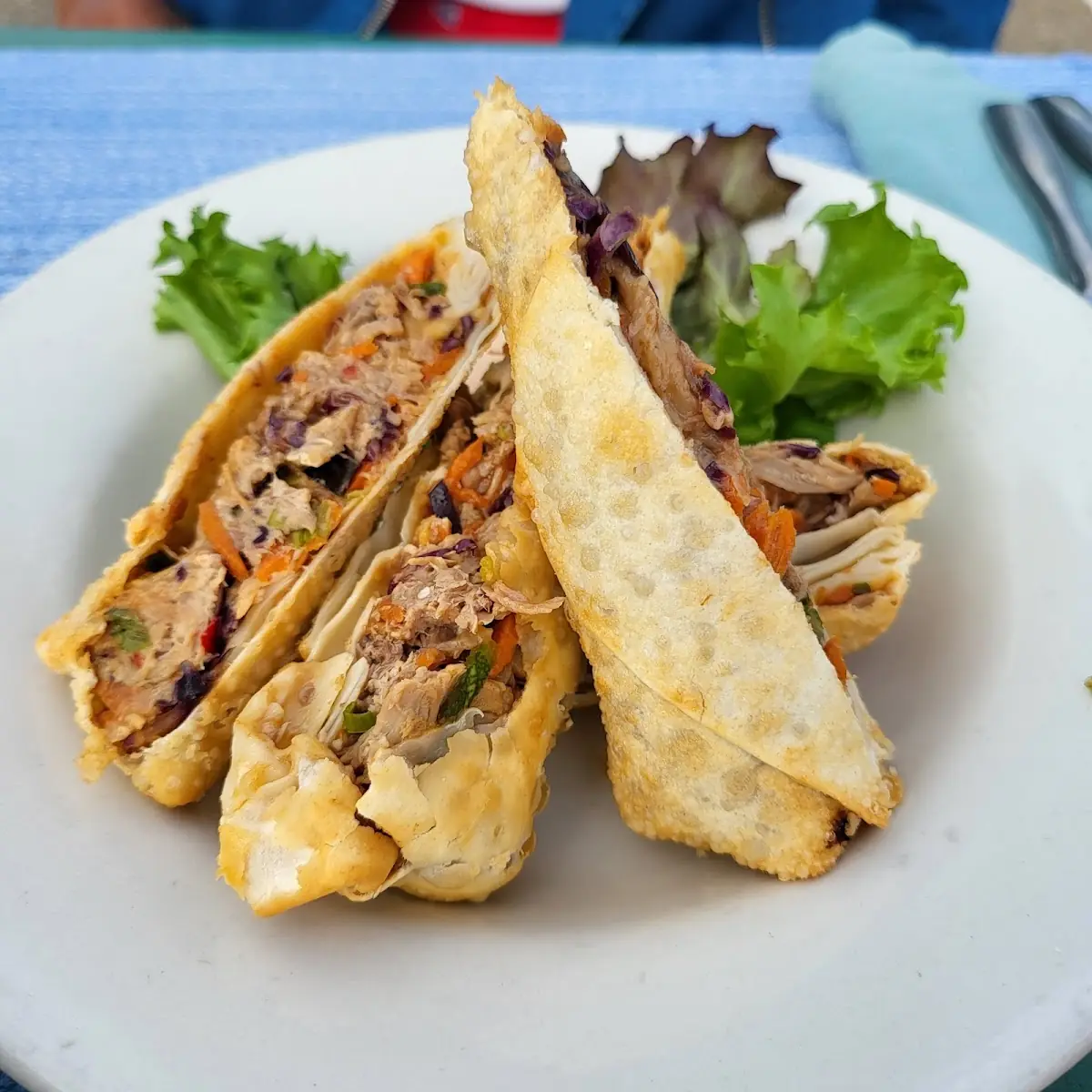 Duck Spring Rolls