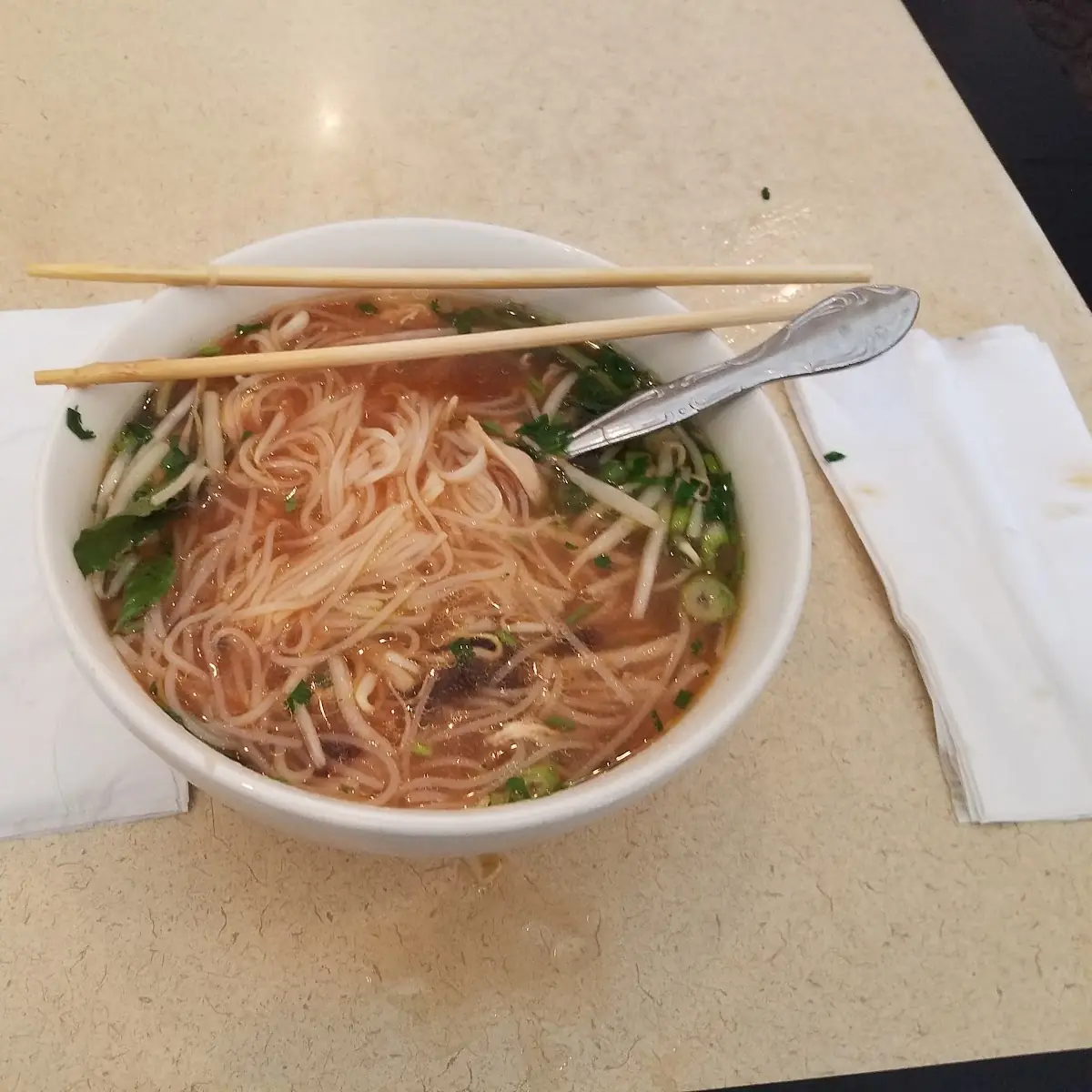 Chicken Noodle Soup