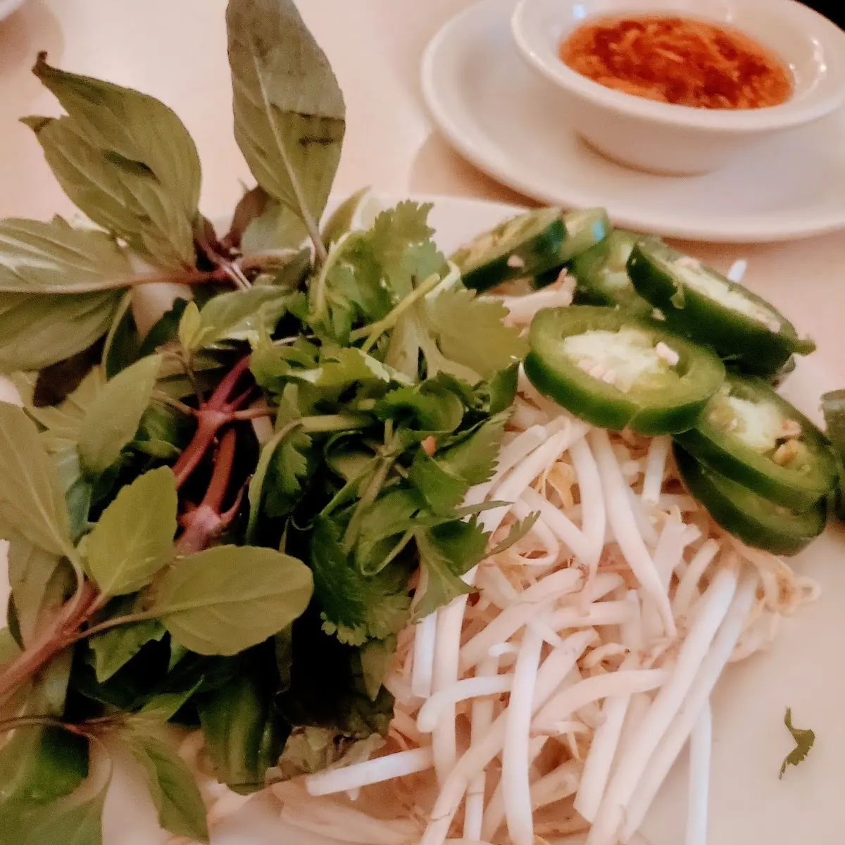 Pho Grands Special Combination