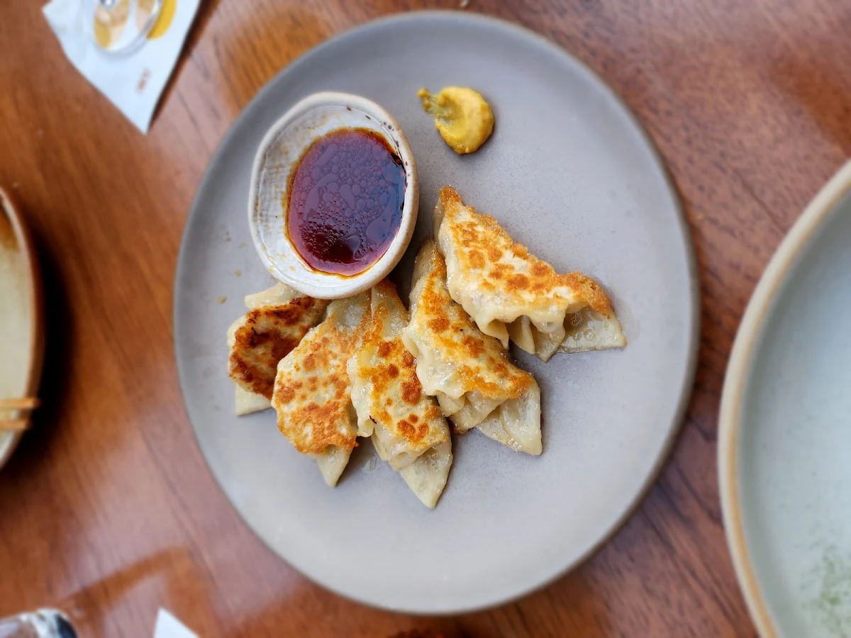 Pork Dumplings
