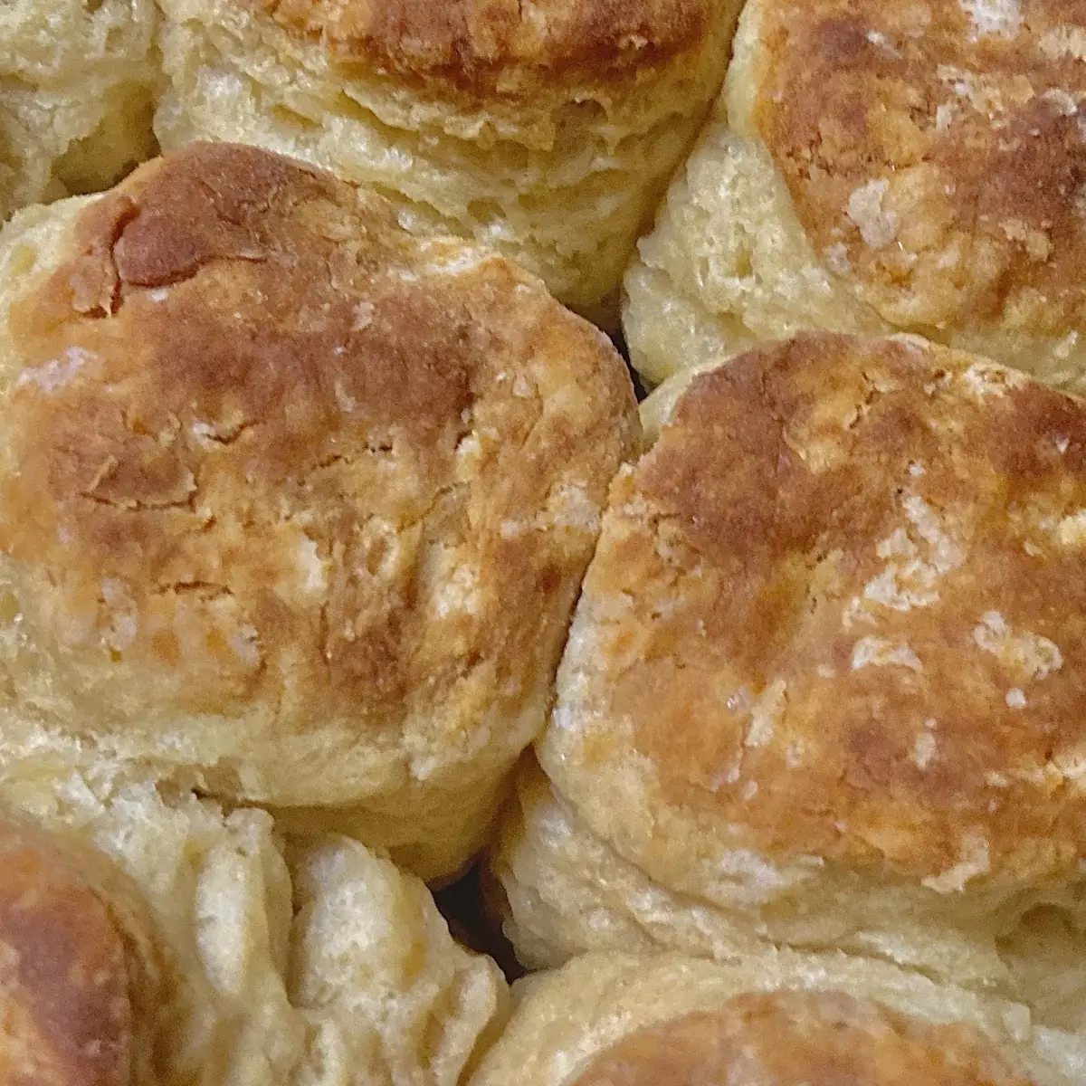 Classic Buttermilk Biscuits