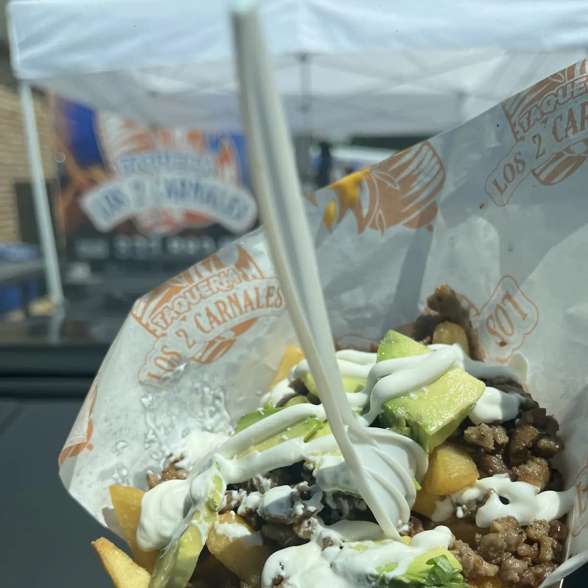 Carne Asada Fries