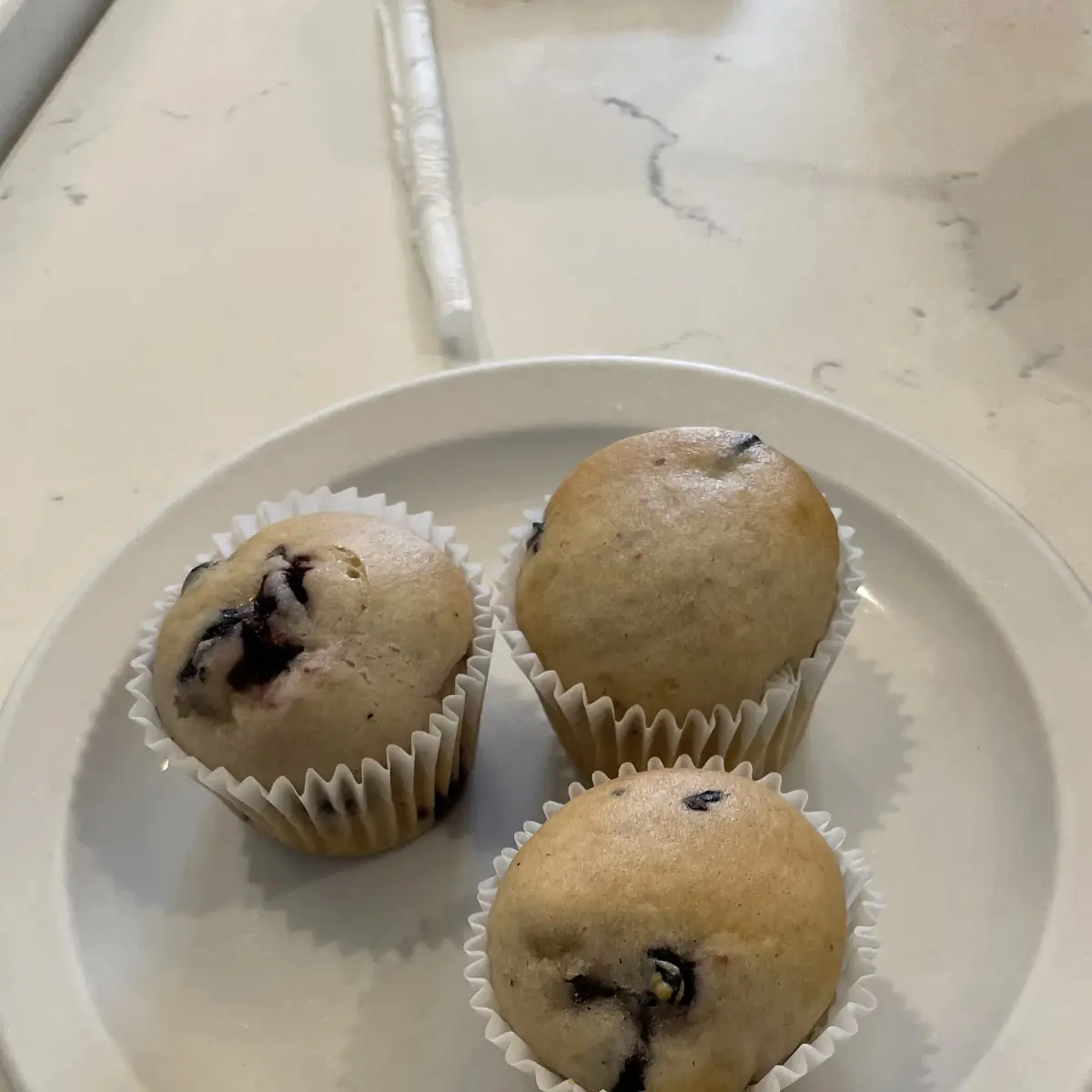 Complimentary Chocolate Chip Muffins