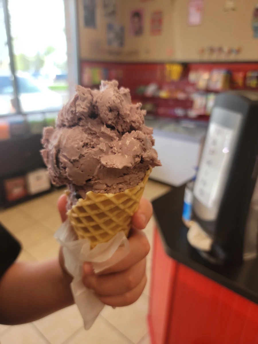 Black Cherry Single Scoop with Waffle Cone