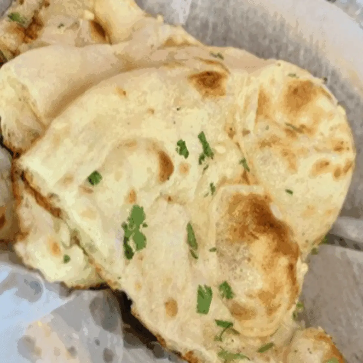 Tandoori Roti V
