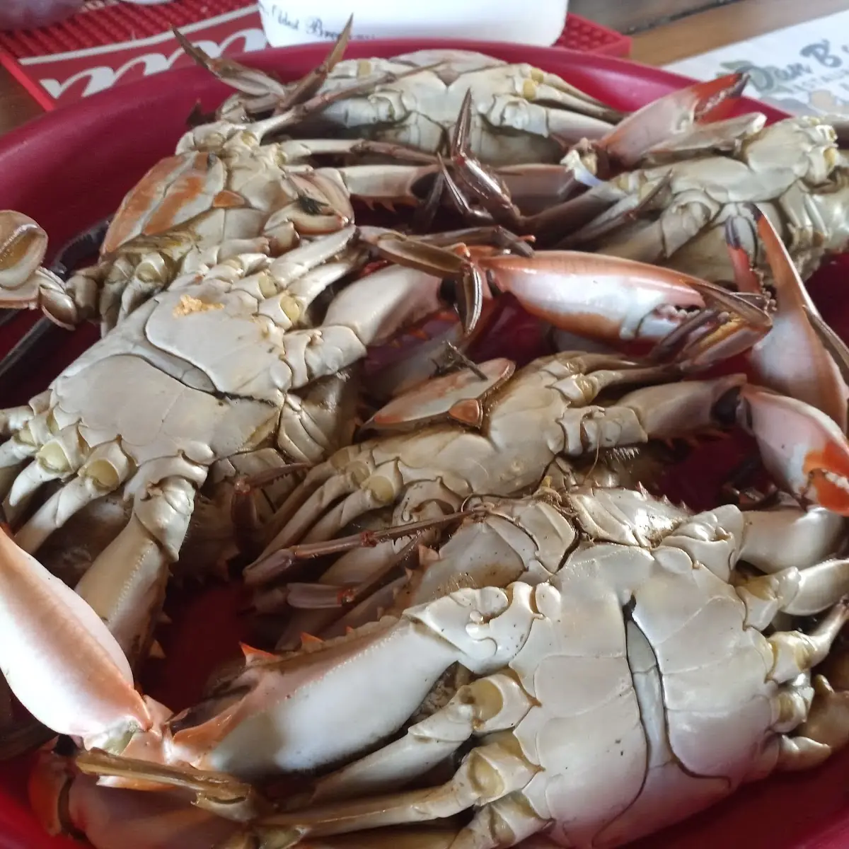 Crab Boil