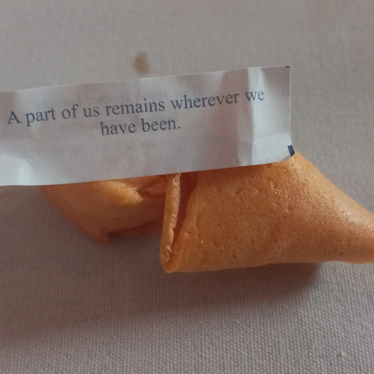 Fortune Cookie