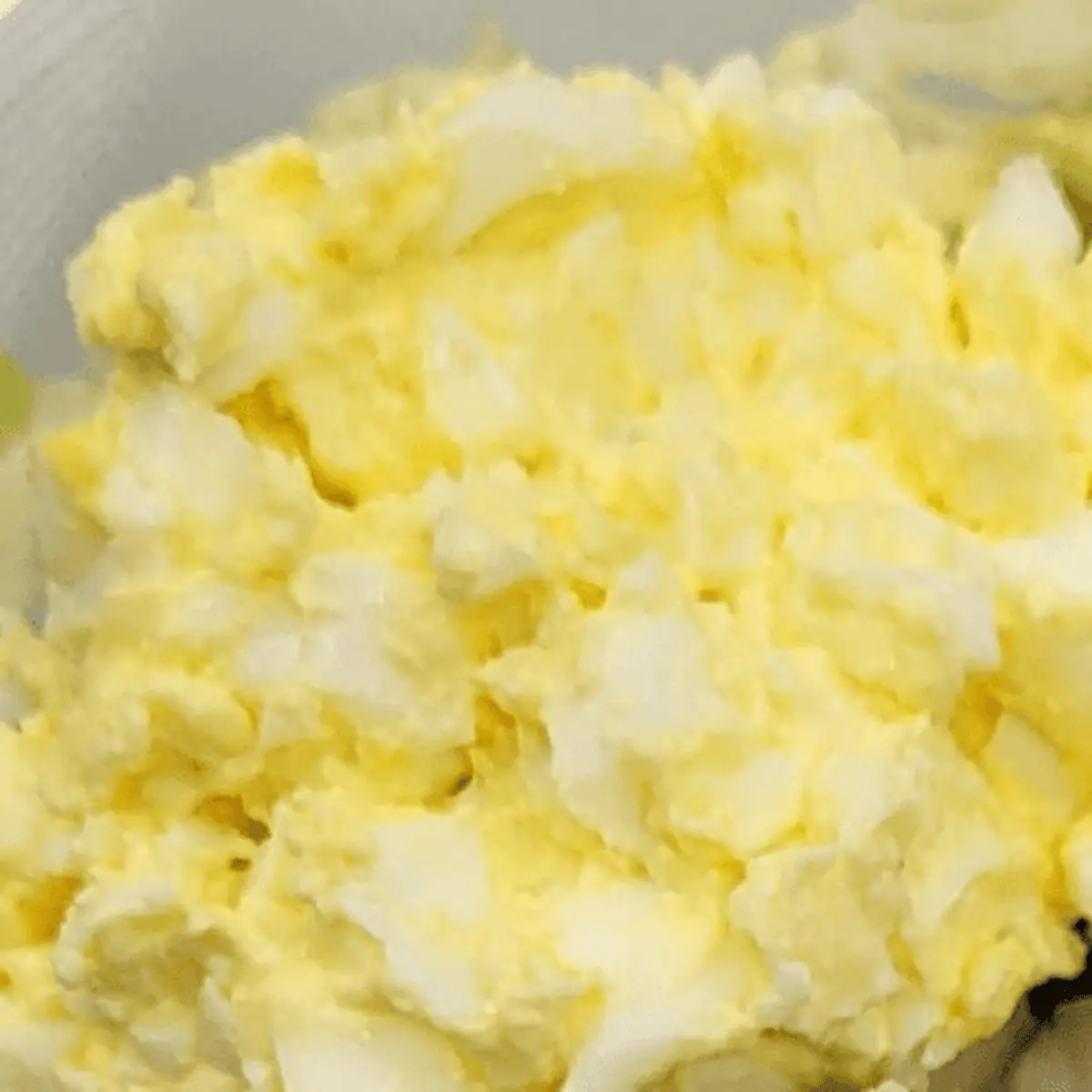 House Made Creamy Egg Salad