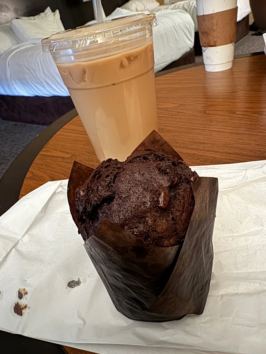 Chocolate Chip Muffin
