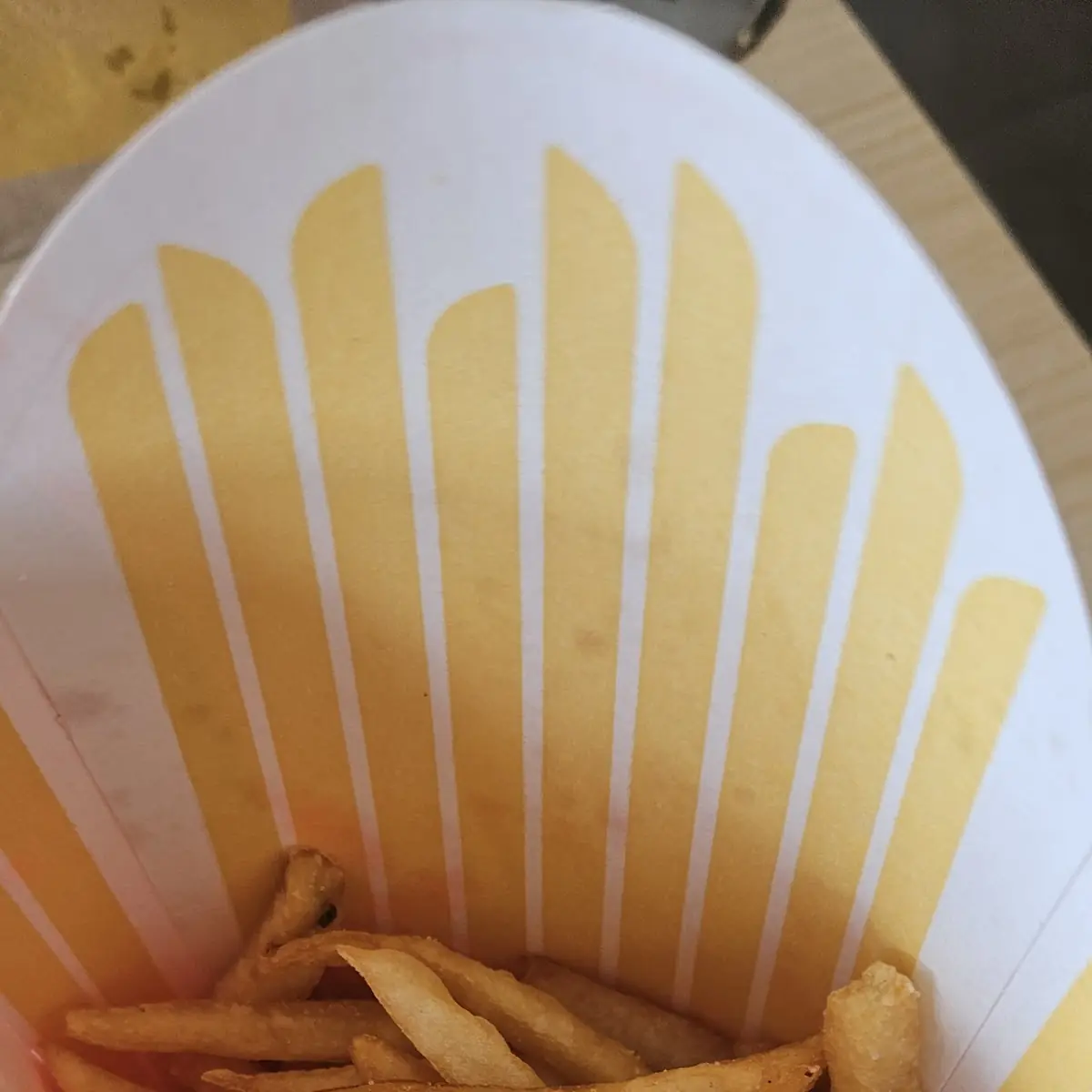 World Famous Fries