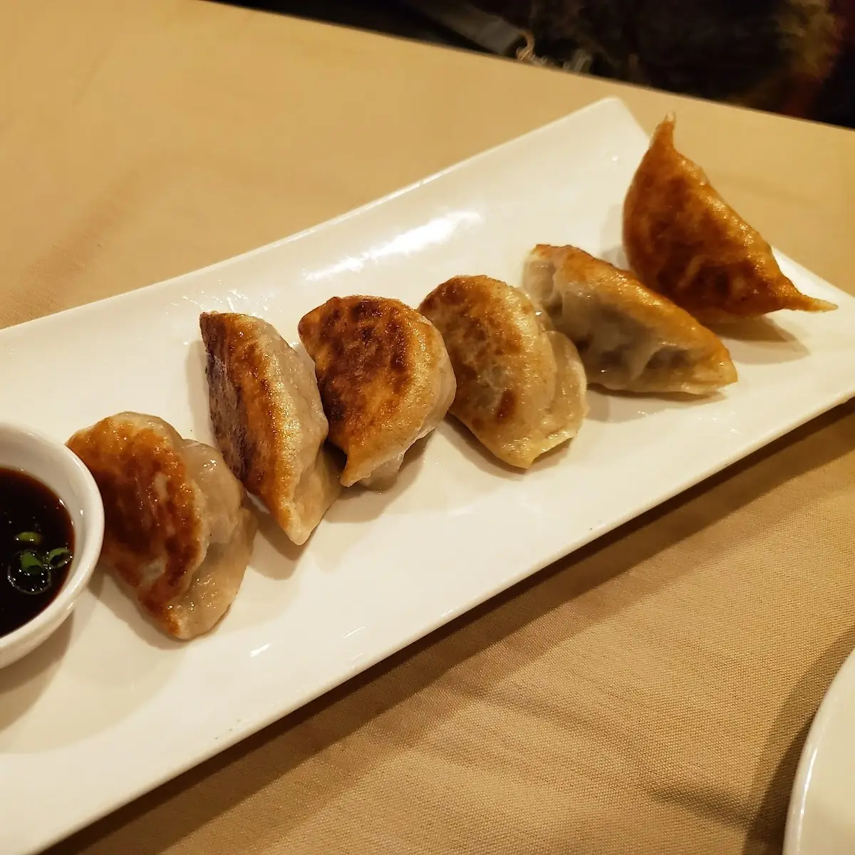 Pan Fried Beef Dumplings