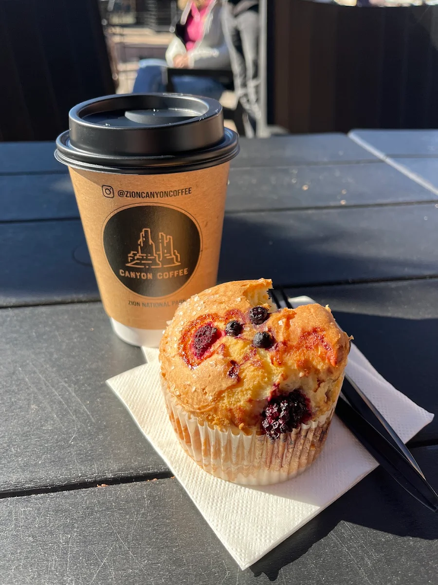 Blueberry Muffin