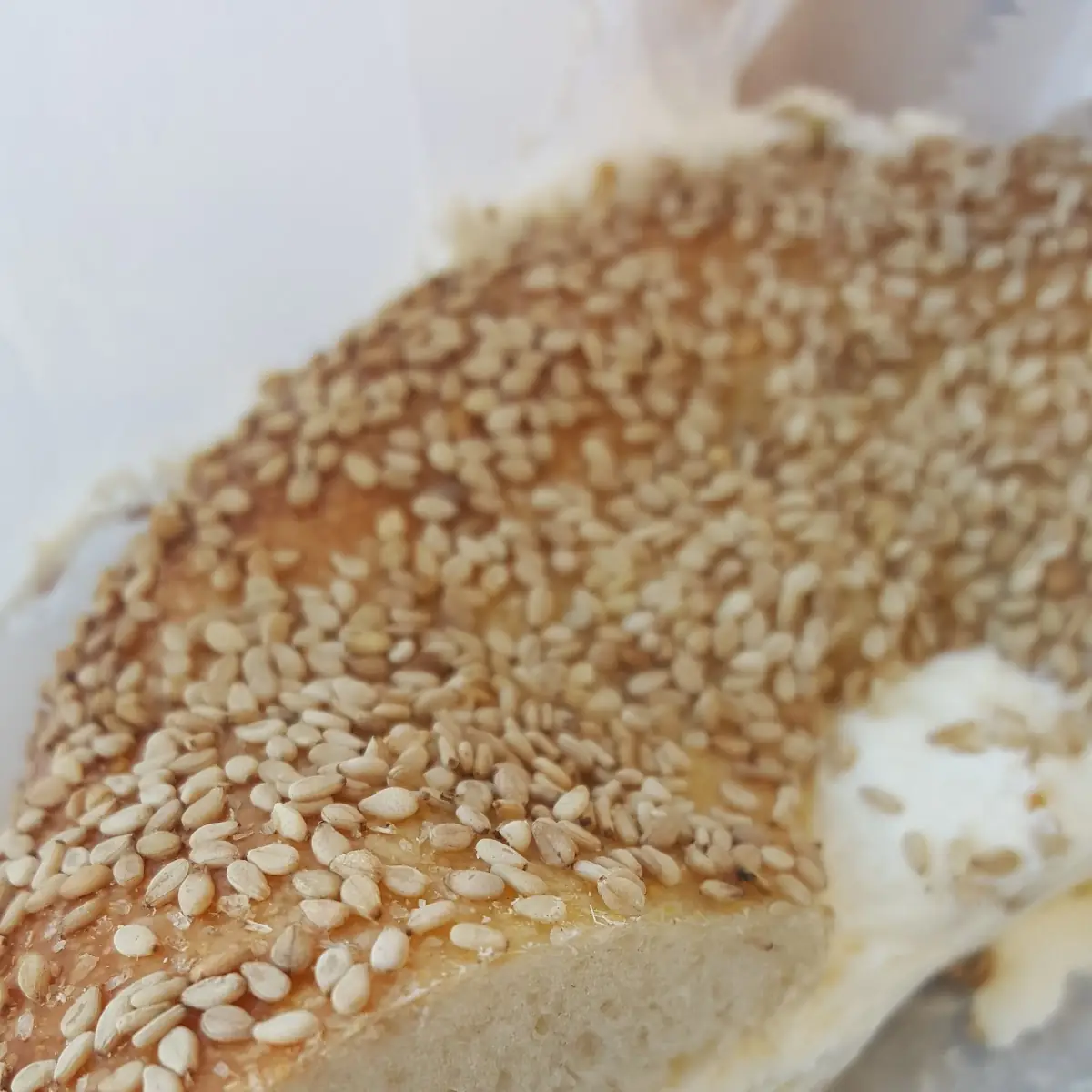 Sesame Bagel and Cream Cheese