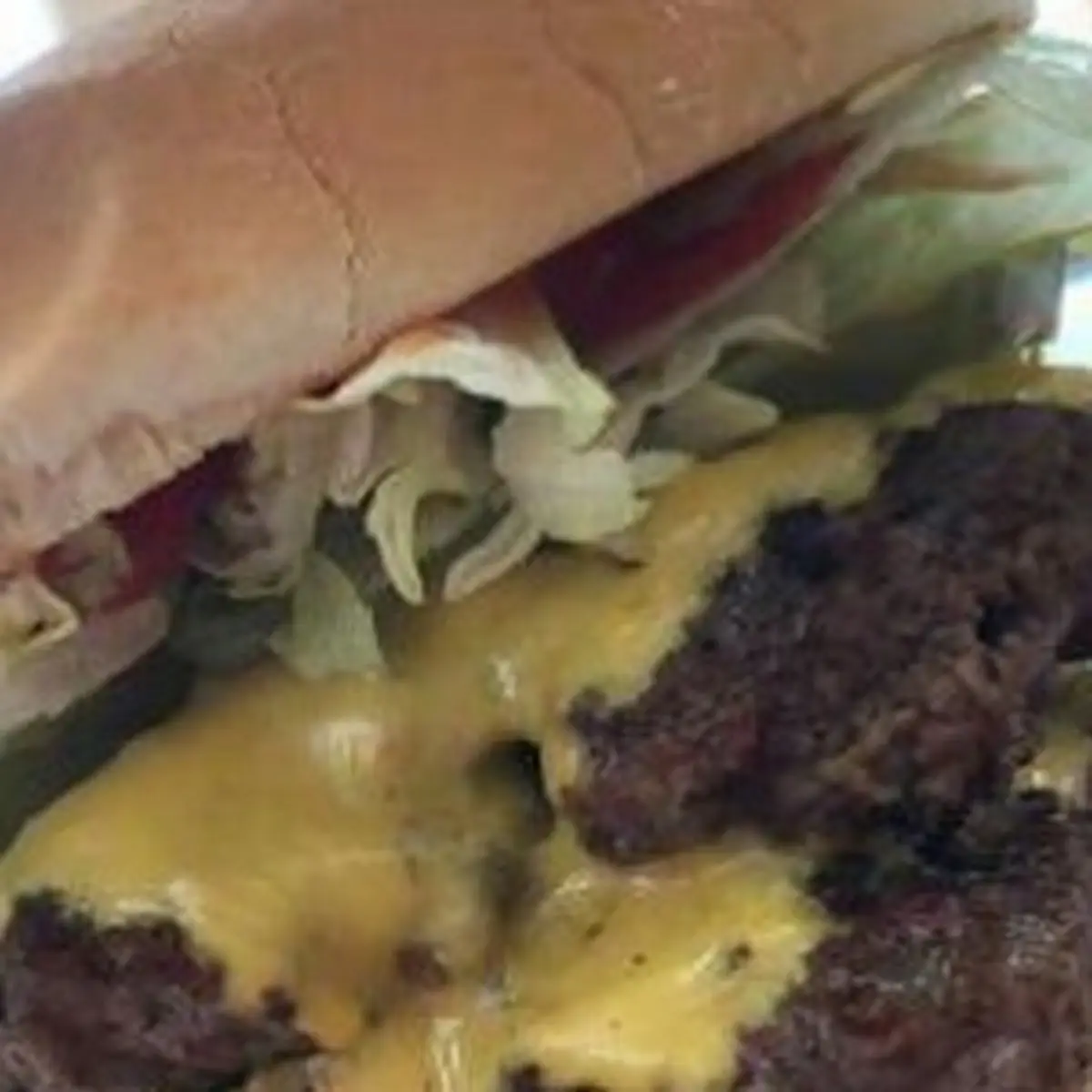 Double Hamburger